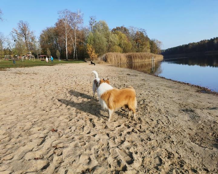 Cafe Am See