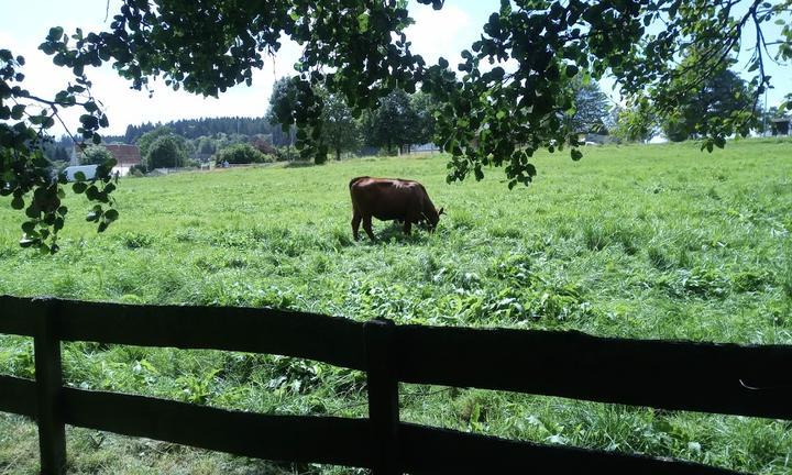 Harzer Speisekammer