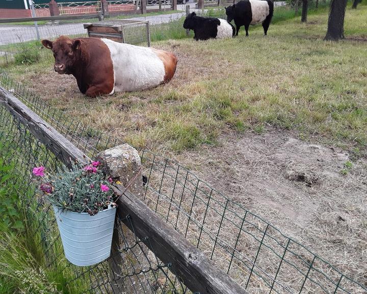 Melkhus Kuhlingen Spiel- Und Spasshof